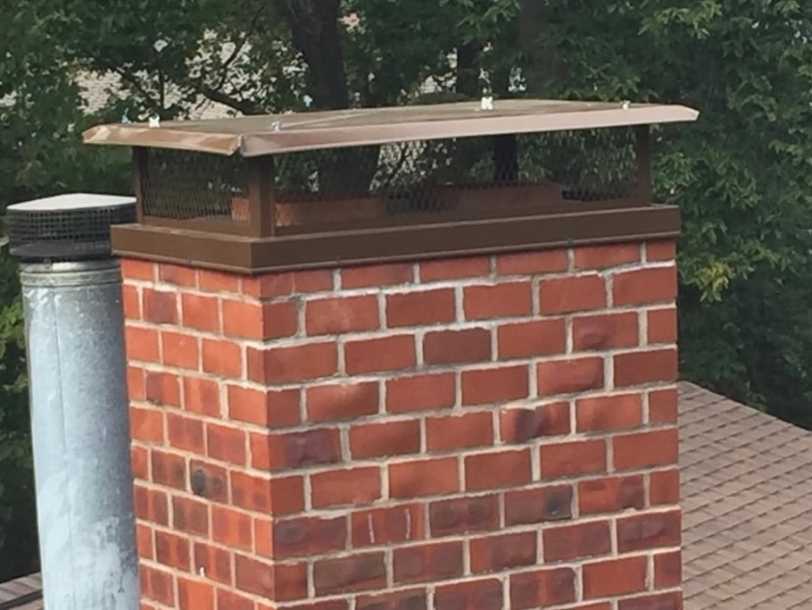 Protect a Chimney with Brown Basic Hood